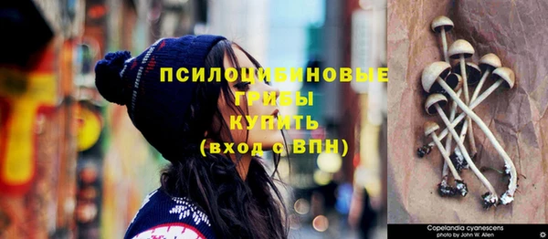 синтетический гашиш Беломорск