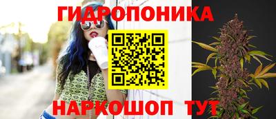 экстази Будённовск