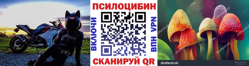 Галлюциногенные грибы Cubensis  Вязники 