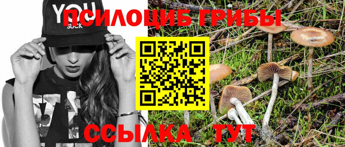Галлюциногенные грибы Psilocybine cubensis  купить закладку  Вязники  Вход с VPN 