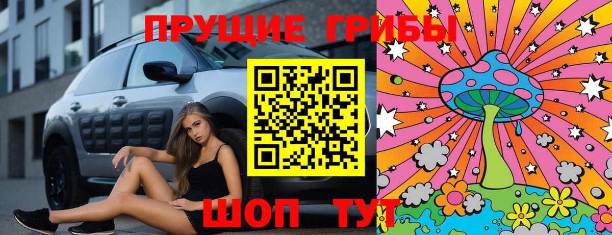 Псилоцибиновые грибы Psilocybine cubensis Вязники