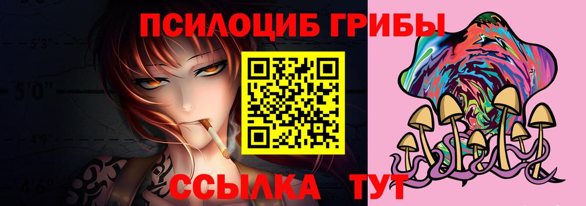 Галлюциногенные грибы Cubensis  Вязники  Псилоцибиновые грибы GOLDEN TEACHER 